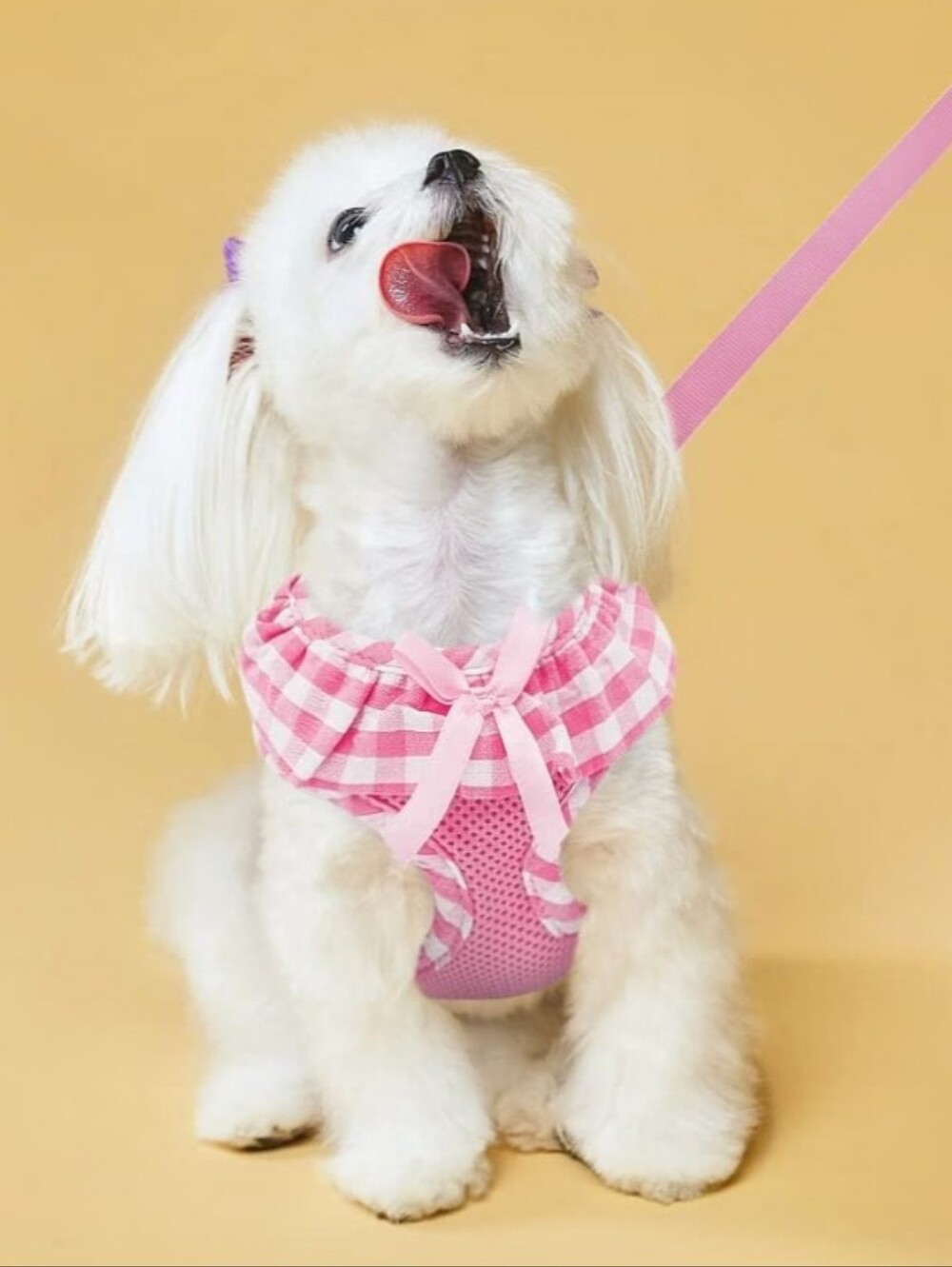 Dog Harness and Leash Set No Pull SIZE M Brand NEW For Small To Meduim Dogs